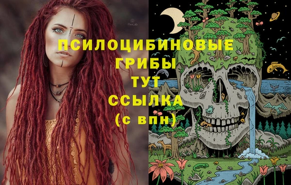 альфа пвп Баксан